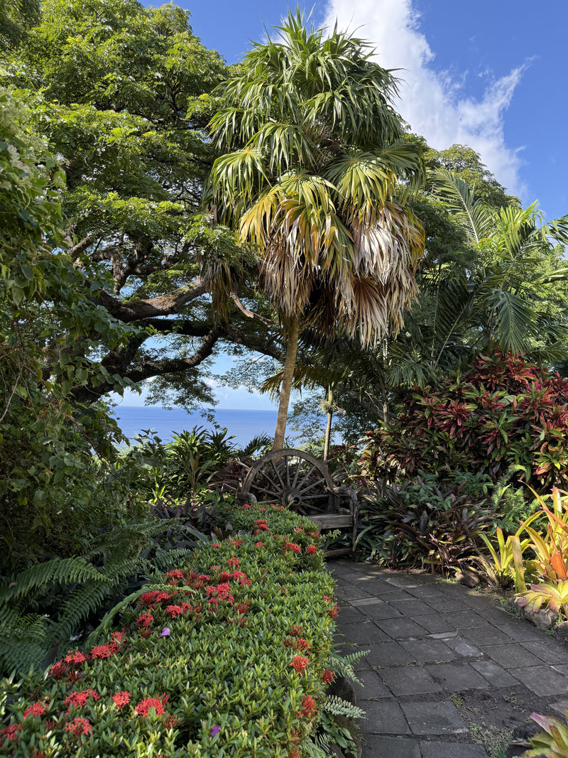 Caribbean